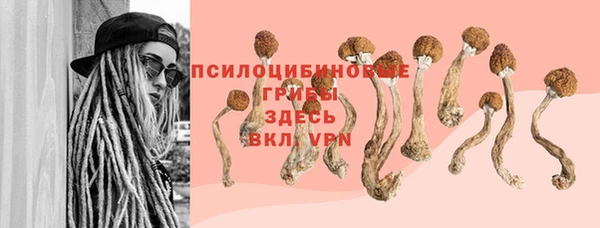 стафф Балахна