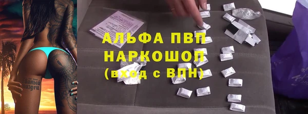 индика Беломорск