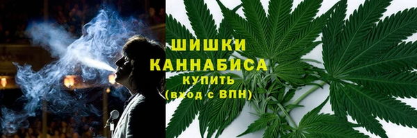 индика Беломорск