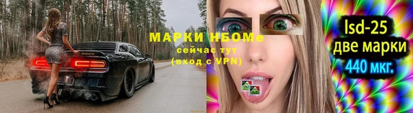 индика Беломорск